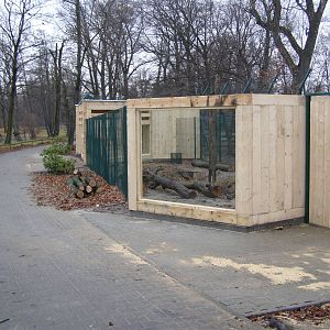 New enclosure for Eurasian lynxes and wildcats - under construction