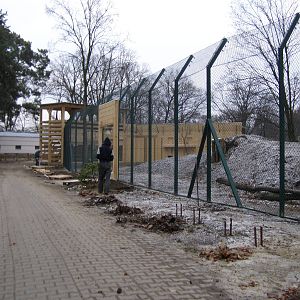 New enclosure for Eurasian lynxes and wildcats - under construction