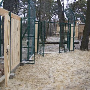 New enclosure for Eurasian lynxes and wildcats - under construction