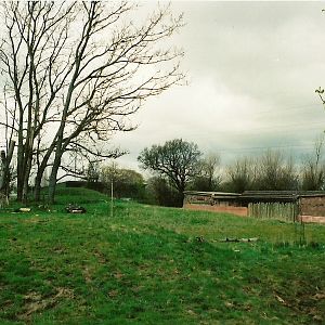 Chester Zoo - April 2005