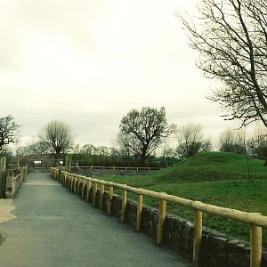 Chester Zoo - April 2005