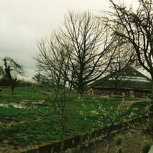 Chester Zoo - April 2005