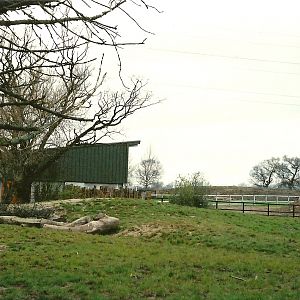 Chester Zoo - April 2005