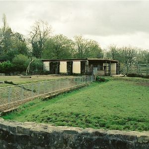 Chester Zoo - April 2005