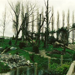 Chester Zoo - April 2005