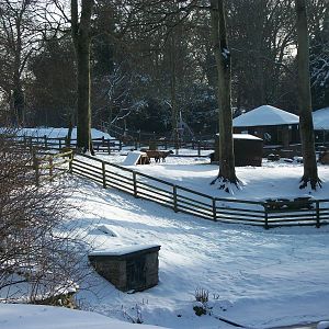 Looking across Sewerby Zoo 5th February 2012