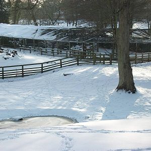 Looking across Sewerby Zoo 5th February 2012