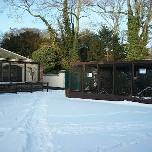Sewerby Zoo, Touraco aviary left, Finch aviary right; 5th February 2012