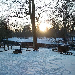 Sewerby Zoo, the sun going down, 5th February 2012