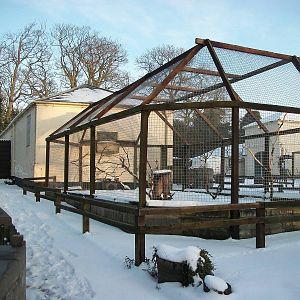 Sewerby Zoo, Macaw/Pheasant Aviary, 5th February 2012