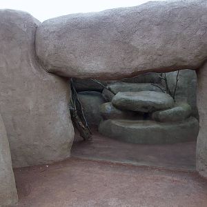 Hyrax Exhibit at Chester, 04/02/12