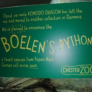 Boelen's Python Sign at Chester, 04/02/12