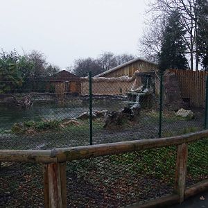 Giant Otter Construction at Chester, 04/02/12