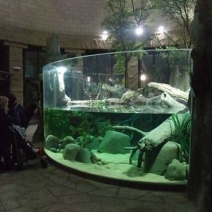 Jaguar House Aquarium at Chester, 04/02/12