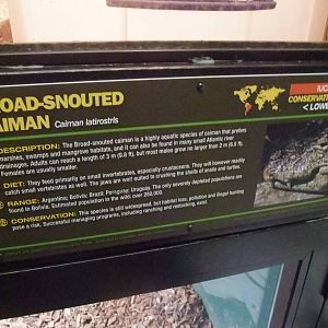 Signage Example at Crocodiles of the World, 05/02/12