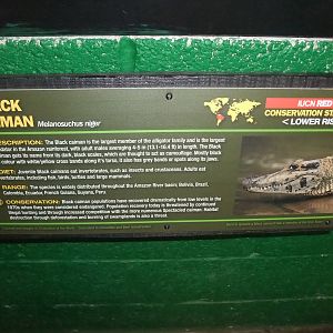 Signage Example at Crocodiles of the World, 05/02/12