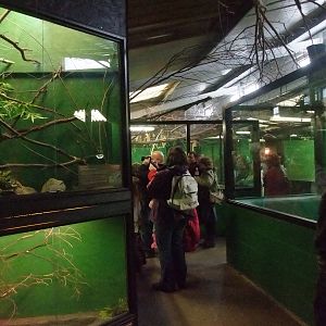 General View at Crocodiles of the World, 05/02/12