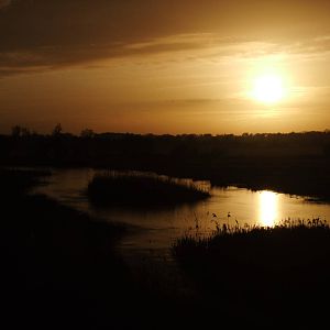 Sunset at Slimbridge, 05/02/12