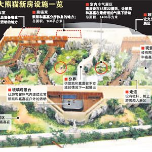 Scale model - Yangtze River (Giant Panda habitat)