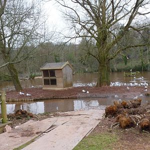 Pelican Lake 15 February 2012