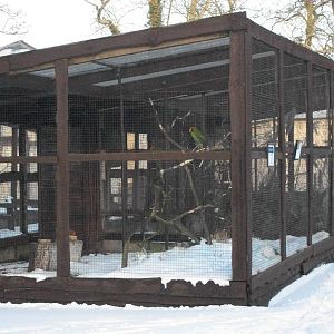 Sewerby Zoo, Conures/Parakeets Aviary 5th February 2012