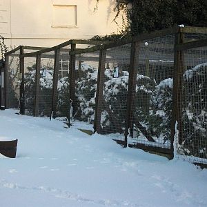 Sewerby Zoo, Pheasant Pens 5th February 2012