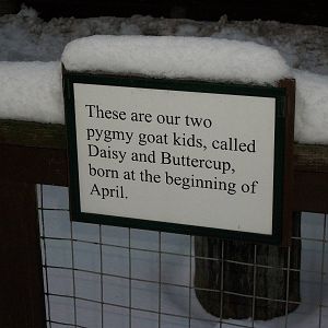 Sewerby Zoo, sign in small yard 5th February 2012