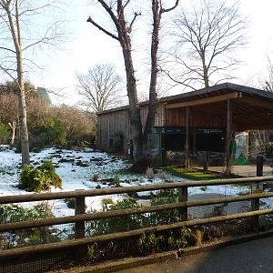 Part of the giant tortoise enclosure, 7th Feb 2012