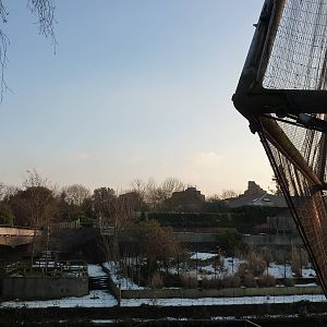 Looking across the canal, 7th Feb 2012