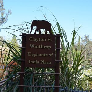 Elephants of Asia - Indian Plaza Signage