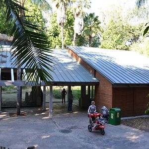 Chimpanzees of the Mahale Mountains Viewing Area