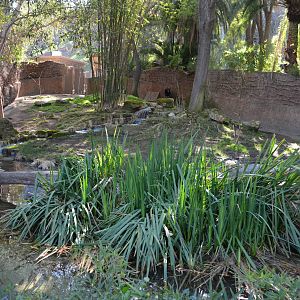 Okapi/Black Duiker Yard