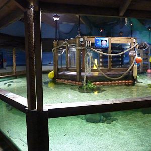 Bay of rays, 8th Feb 2012