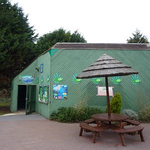 Amazone building, 8th Feb 2012