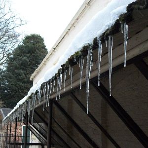 Sewerby Zoo, Icicles 11th February 2012