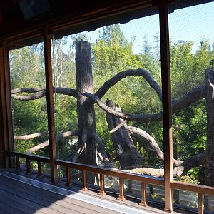 Francois' Langur Habitat