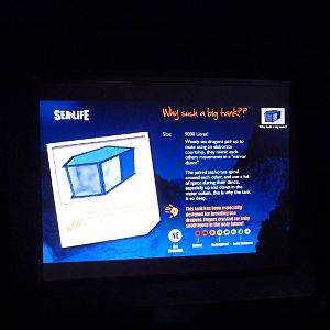 Seadragon breeding tank sign, 8th Feb 2012
