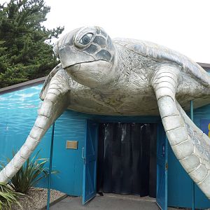 Turtle sanctuary entrance, 8th Feb 2012
