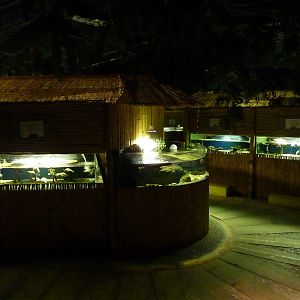 Turtle sanctuary, 8th Feb 2012