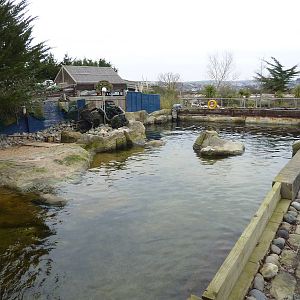 Harbour seal enclosure, 8th Feb 2012