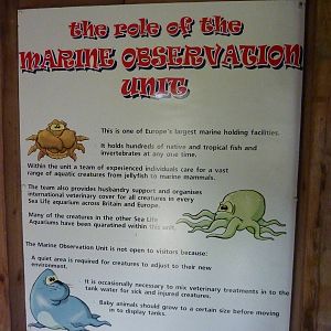 Marine observation unit sign, 8th Feb 2012