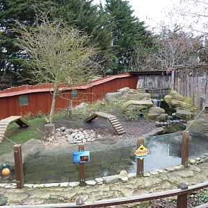 Asian short-clawed otter enclosure, 8th Feb 2012
