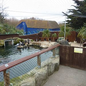 Penguin enclosure, 8th Feb 2012