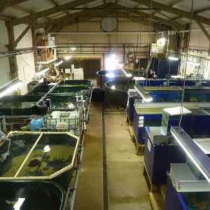 Marine observation unit, 8th Feb 2012