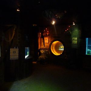 Oceans of the world displays, 8th Feb 2012