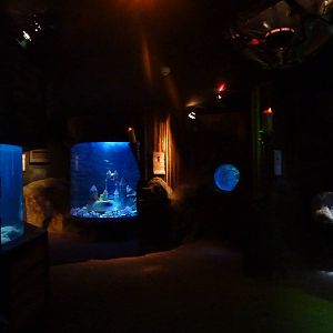 Oceans of the world displays, 8th Feb 2012