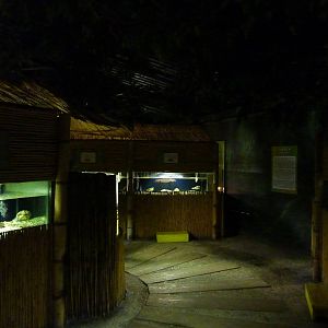 Turtle sanctuary, 8th Feb 2012