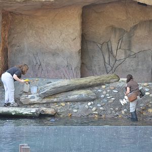End of Sea Life Cliffs Demonstration