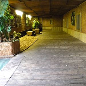 Great Ape House at Blackpool Zoo 17/07/11