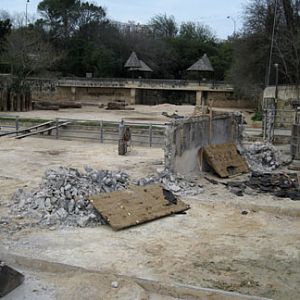 rhino wall demolition